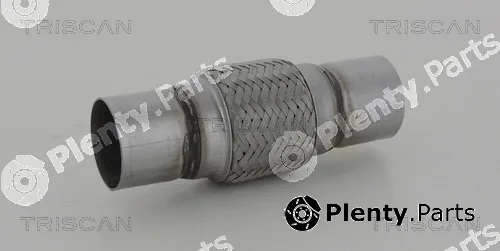Triscan 700010019 — Flexible Pipe, exhaust system