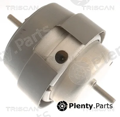 Triscan 850529169 — Mounting, engine