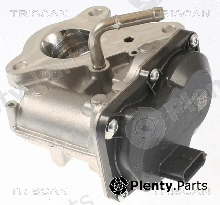 Triscan 881310116 — EGR Valve
