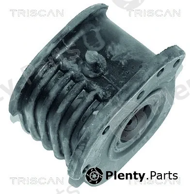 Triscan 850010807 — Mounting, control/trailing arm