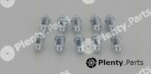 Triscan 81053655 — Breather Screw/Valve