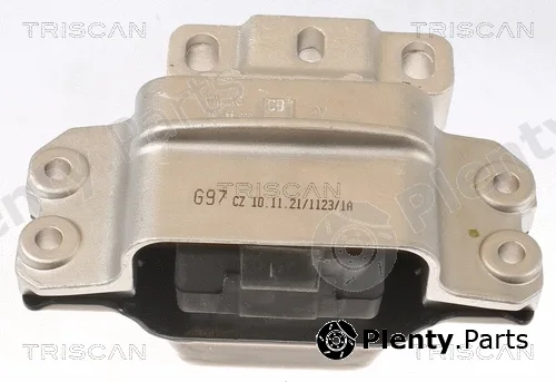 Triscan 850529157 — Mounting, engine