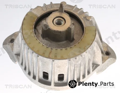 Triscan 850523108 — Mounting, engine
