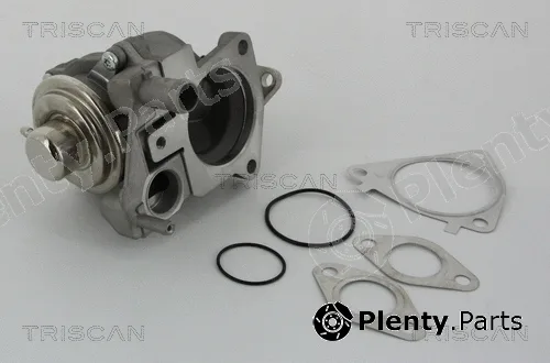 Triscan 881328019 — EGR Valve