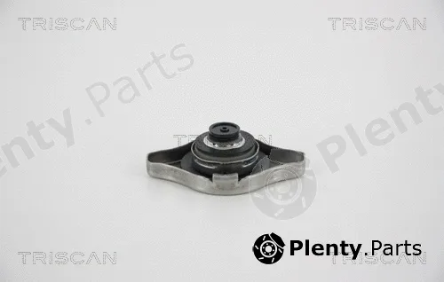 Triscan 861018 — Cap, radiator