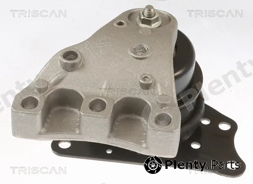 Triscan 850529113 — Mounting, engine