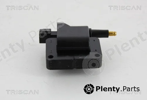 Triscan 886010013 — Ignition Coil