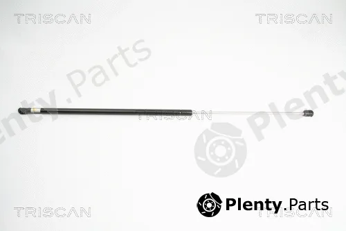 Triscan 871038219 — Gas Spring, boot/cargo area
