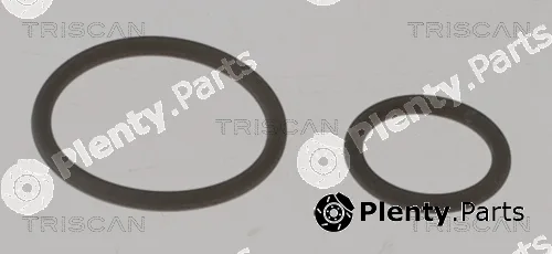 Triscan 596-1001 — Seal Kit, injector nozzle