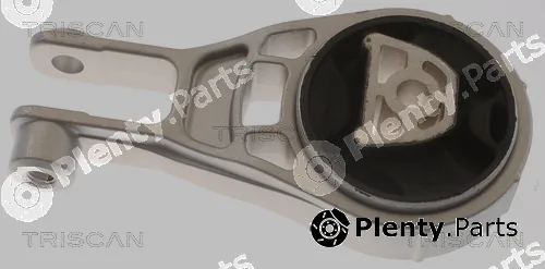 Triscan 850524114 — Mounting, engine