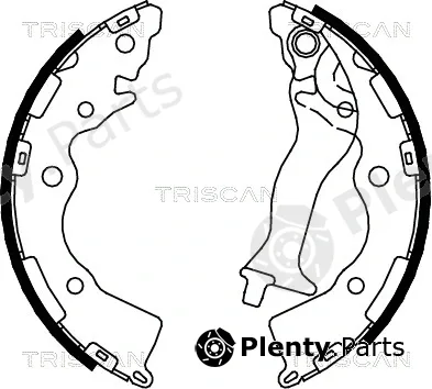Triscan 810010020 — Brake Shoe Set