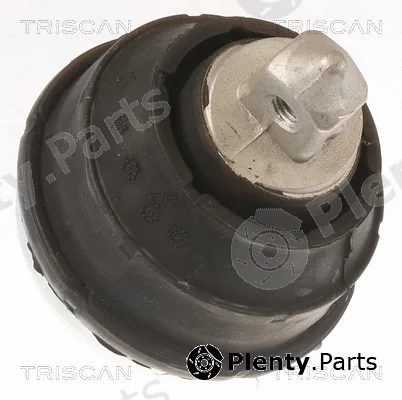 Triscan 850511102 — Mounting, engine