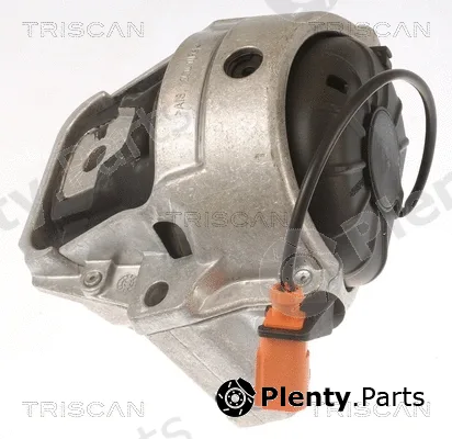 Triscan 850529178 — Mounting, engine