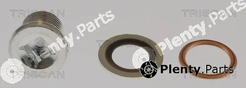 Triscan 95001003-20 — Screw Plug, oil sump