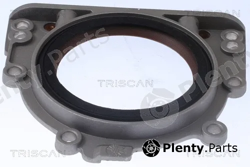 Triscan 855029031 — Shaft Seal, crankshaft