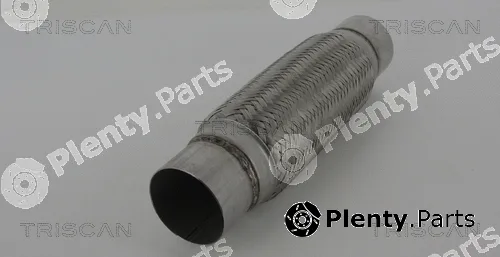 Triscan 700010003 — Flexible Pipe, exhaust system