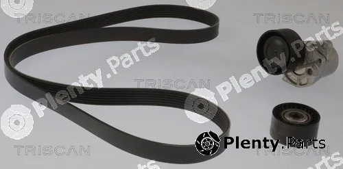 Triscan 864223011 — V-Ribbed Belt Set