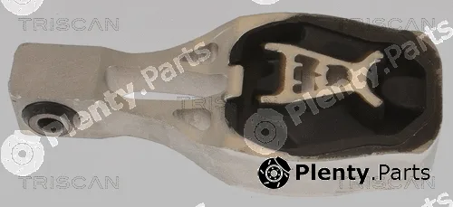 Triscan 850510130 — Mounting, engine