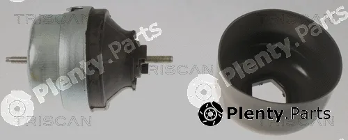 Triscan 850529177 — Mounting, engine