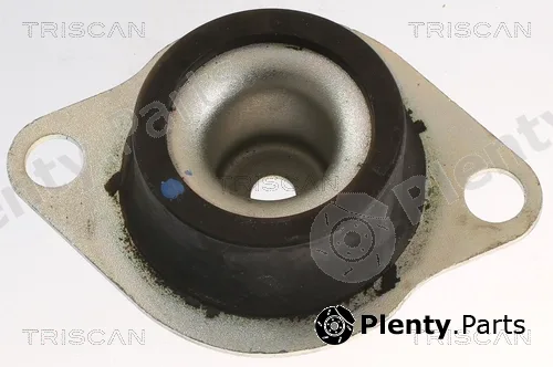 Triscan 850525120 — Mounting, engine