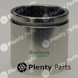 Triscan 8170235419 — Piston, brake caliper