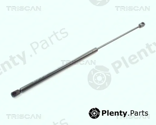 Triscan 87101621 — Gas Spring, boot/cargo area