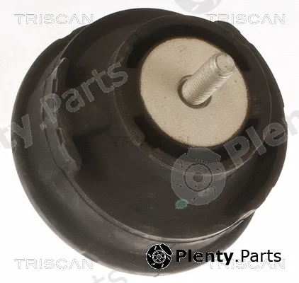 Triscan 850511100 — Mounting, engine