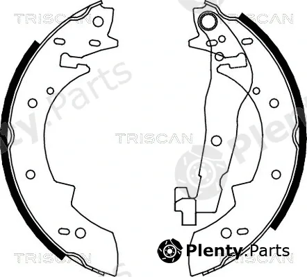 Triscan 810010307 — Brake Shoe Set