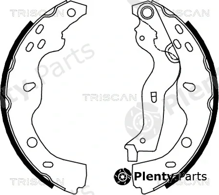 Triscan 810010013 — Brake Shoe Set