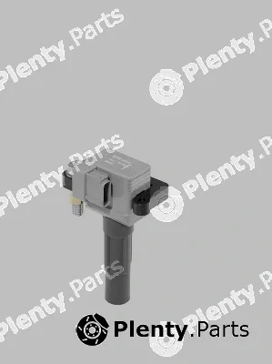 BorgWarner (BERU) ZSE213 — Ignition Coil