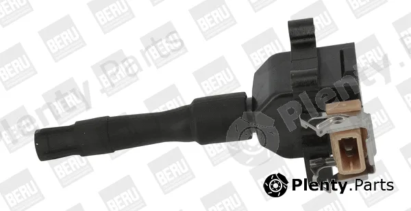 BorgWarner (BERU) ZS014 — Ignition Coil