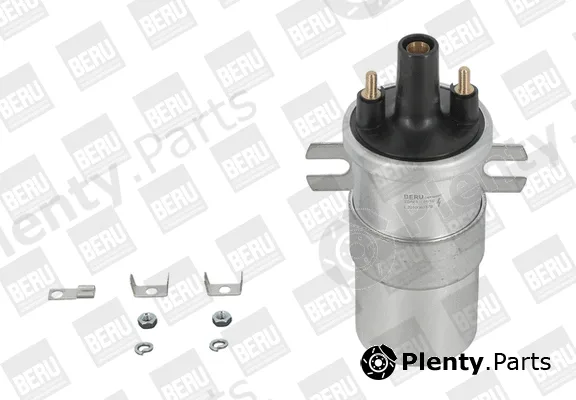 BorgWarner (BERU) ZS563 — Ignition Coil