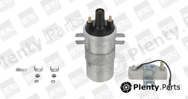 BorgWarner (BERU) ZS567 — Ignition Coil