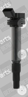 BorgWarner (BERU) ZSE184 — Ignition Coil