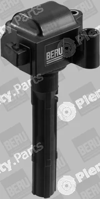 BorgWarner (BERU) ZS430 — Ignition Coil