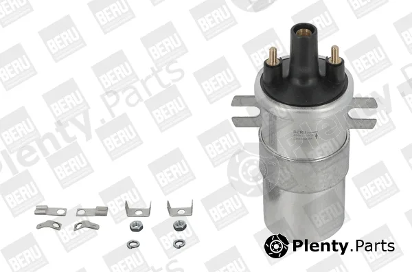 BorgWarner (BERU) ZS568 — Ignition Coil