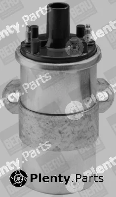 BorgWarner (BERU) ZS117 — Ignition Coil