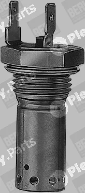 BorgWarner (BERU) GH117 — Glow Plug, parking heater