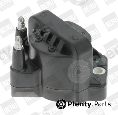 BorgWarner (BERU) ZS355 — Ignition Coil