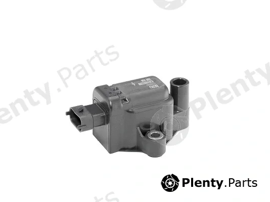 BorgWarner (BERU) ZSE230 — Ignition Coil