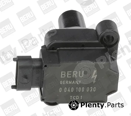BorgWarner (BERU) ZS030 — Ignition Coil