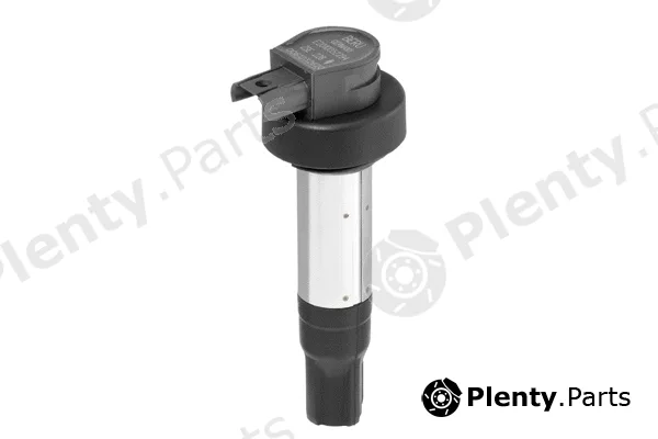 BorgWarner (BERU) ZSE228 — Ignition Coil