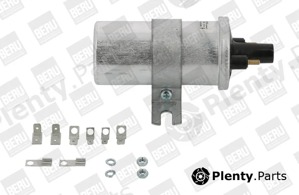 BorgWarner (BERU) ZS569 — Ignition Coil