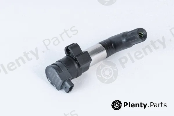 BorgWarner (BERU) ZSE254 — Ignition Coil