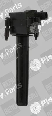 BorgWarner (BERU) ZS432 — Ignition Coil