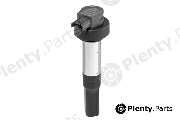 BorgWarner (BERU) ZSE227 — Ignition Coil