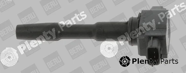 BorgWarner (BERU) ZSE131 — Ignition Coil