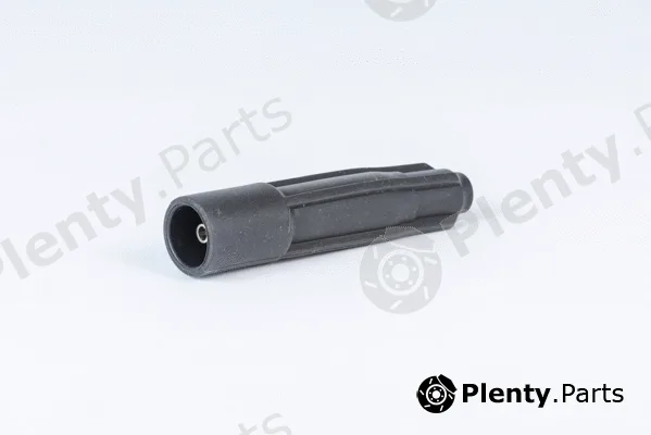 BorgWarner (BERU) ZLE234 — Plug, coil