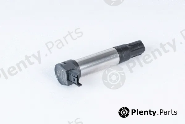 BorgWarner (BERU) ZSE255 — Ignition Coil