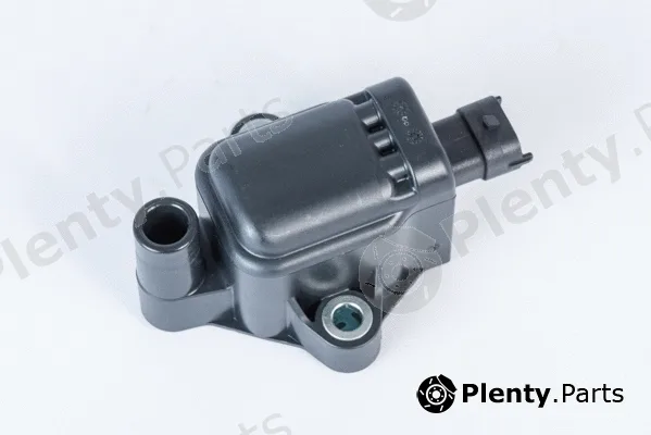 BorgWarner (BERU) ZS593 — Ignition Coil
